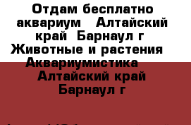 Отдам бесплатно аквариум - Алтайский край, Барнаул г. Животные и растения » Аквариумистика   . Алтайский край,Барнаул г.